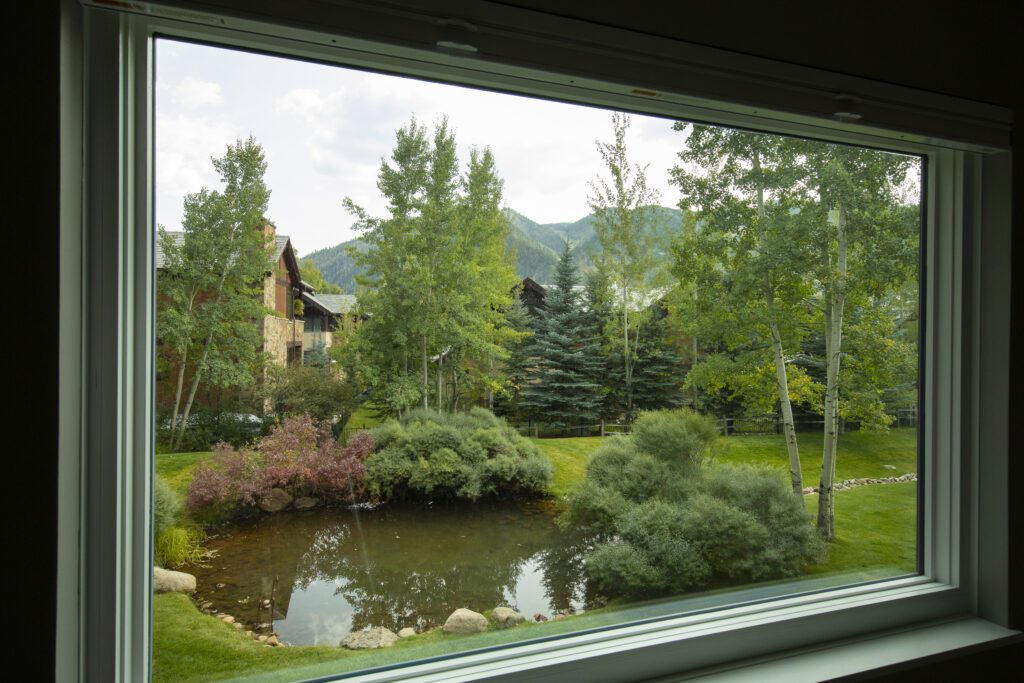 View from inside Vine development of vibrant green courtyard and pond at Vine development